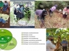 investigacion-participativa-agricultura