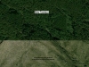 la-lucha-milenaria-del-manejo-forestal-comunitario3