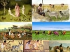 mujres-y-el-nacimiento-de-la-agricultura