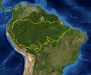 o_Amazon_rainforest