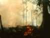 o_Chamiceras fuego slash_burn