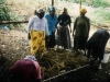 o_Compostaje en Nairobi (Foto Bl L