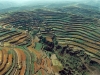 o_FAO pewredida en Web China