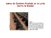o_Lomos de Contorno Nivelado rotura banquetas