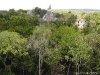 o_Mayas Ruinas bosque