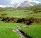 o_Prados De siega Picos de Europa