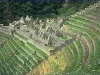 o_incas_terrazas_machupicchu