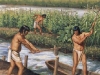o_maya_agriculture