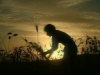 o_naissance_agriculture_1