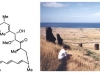 o_rapamycin