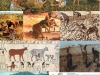origen-agricultura