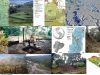 paisajes-jardin2