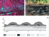 pnas-agricultura-precolombina-en-la-sabana