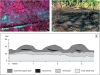 pnas-agricultura-precolombina-en-la-sabana2