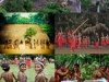 pueblo-wajpi-amazonas