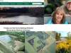restauracion-humedas-agro-USDA
