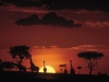 safari-masai-mara-in-positive-viajes