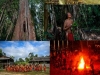 waiapi-rituales