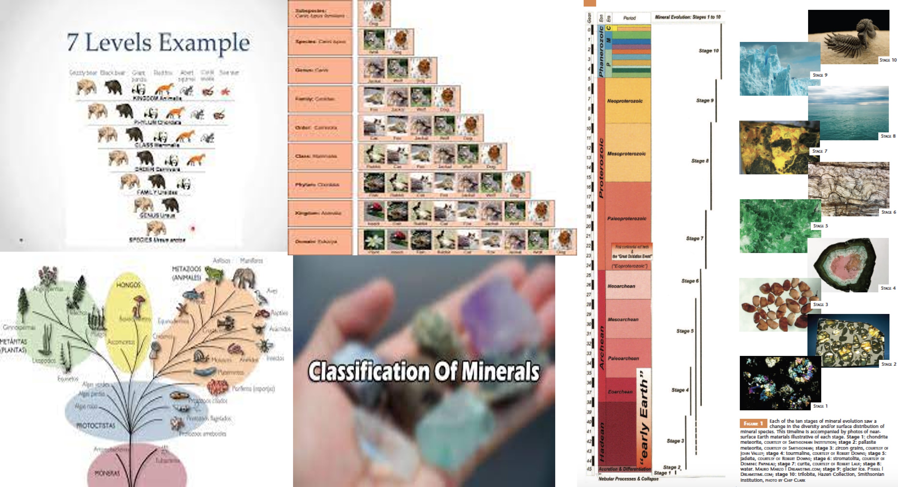 taxonomies-minerales