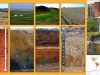 Nueva-pagina-Web-WRB-2023