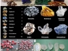 mineral-soil-clasification