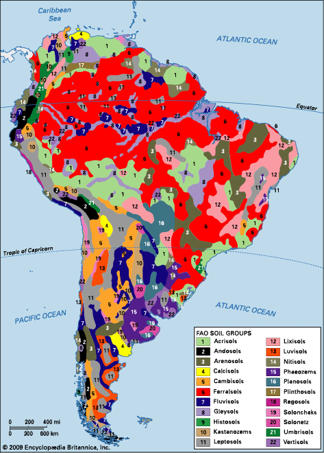 latinoamarica-fao-sdoil-groups-suelos-de-latinoamerica-fuente-encyclopaedia-britannica