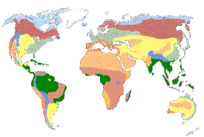 Geografía de los Suelos del Mundo: Los Biomas del Mundo y 