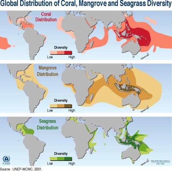 possidnia-world-map-unep-distribution-of-coral-mangrove-and-seagrass-diversity_30dc