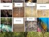 Yucatan-suelos-paisajes