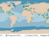distribucion-de-praderas-marinas-en-el-mundo-fuente-teach-ocean-science