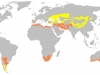 estepas-en-el-mundo-fuente-wikipedia