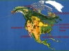 o_Biomes  northamerica busqueda america