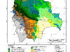 o_Bolivia Mapa Ecoregiones