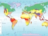 o_Climas del Mundo Mapa 2