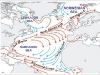 o_Corriente Noratlantica