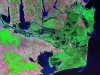 o_Danube_deltaWikipedia