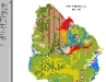 o_Mapa de Suelos de Uruguay