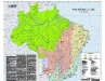 o_MapaBiomas Brasil Nuevo
