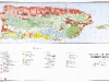 o_soil_map Puerto Rico