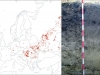 phaeozem-europa-esb