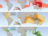 possidnia-world-map-unep-distribution-of-coral-mangrove-and-seagrass-diversity_30dc