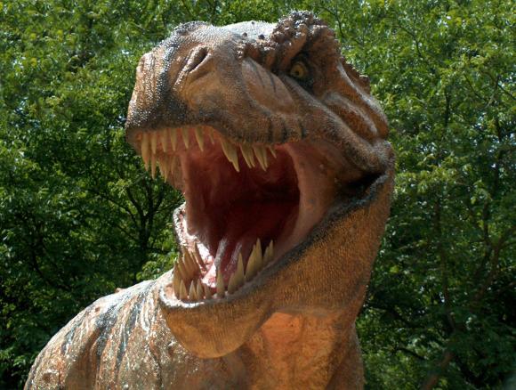 Dinosaurios Bajo el Suelo: La Supervivencia de los Dinosaurios Frente a los  Rigores Climáticos - Un Universo invisible bajo nuestros pies