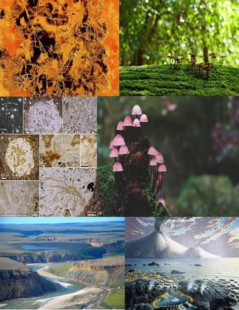 suelos-de-hace-1000-millones-de-anos