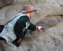 o_A M Emory Dino burrows