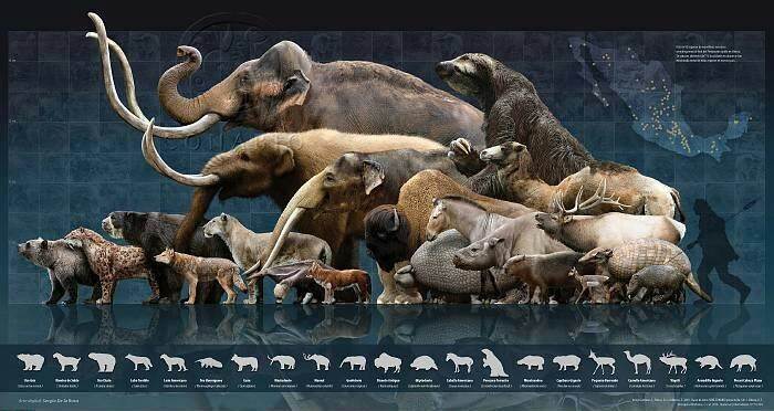 grandes-mamiferos-norteamerica-clovis