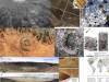 Crateres-de-impacto-en-la-Tierra