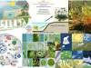 Plantas-tierra-simbiogenesis