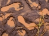 anthropoceno-un-posible-nuevo-periodo-geologico-fuente-national-geographic-news