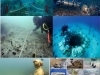 arqueologia-y-suelos-hidricos