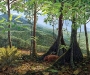 bosque-neotropical-hace-64-millones-de-años